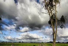 PG游戏：德天空：尼科和吉滕斯在拜仁的边锋引援候选中名列前茅.